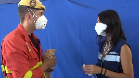 Así es como un militar de la UME salva la vida de un gato en La Palma Así es como un militar de la UME salva la vida de un gato en La Palma