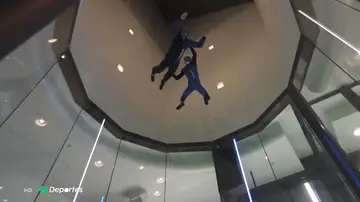 voladores voladores