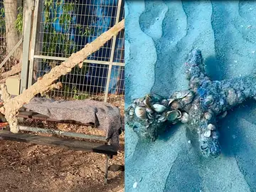 Un buzo encuentra una espada de los cruzados de hace 900 años en el fondo del mar en Israel Un buzo encuentra una espada de los cruzados de hace 900 años en el fondo del mar en Israel