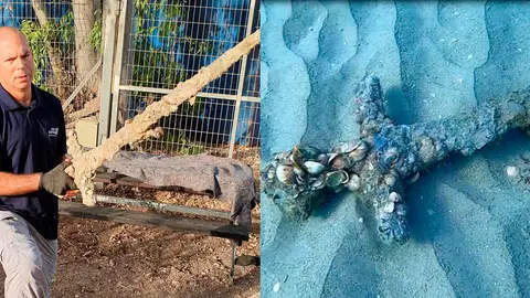 Un buzo encuentra una espada de los cruzados de hace 900 años en el fondo del mar en Israel Un buzo encuentra una espada de los cruzados de hace 900 años en el fondo del mar en Israel