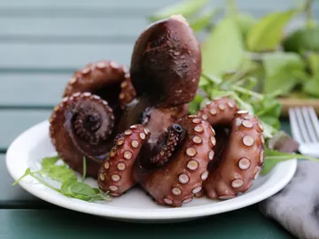 Pulpo Pulpo