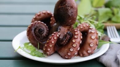 ¿Se puede comer la cabeza del pulpo?