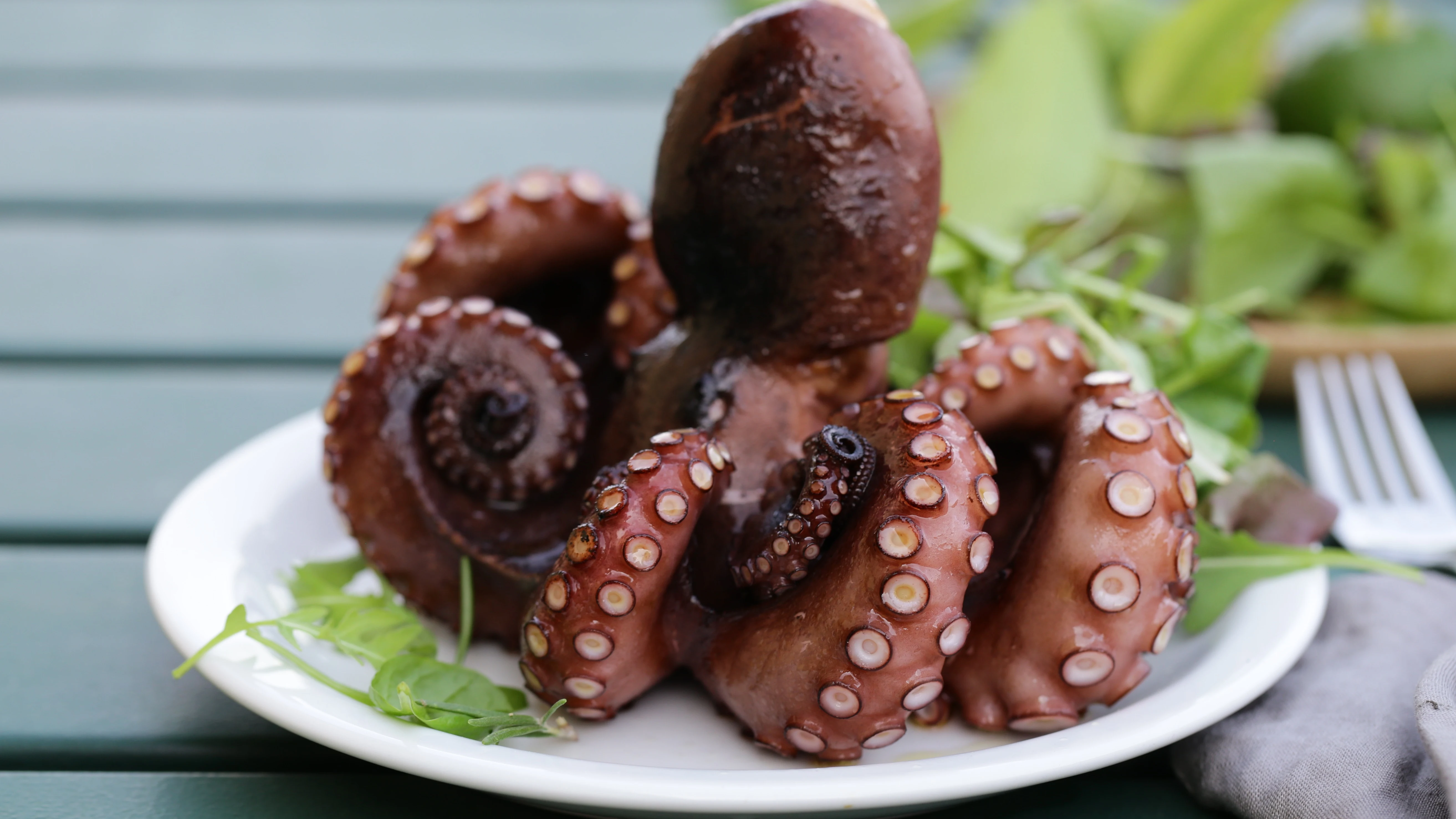 Pulpo Pulpo