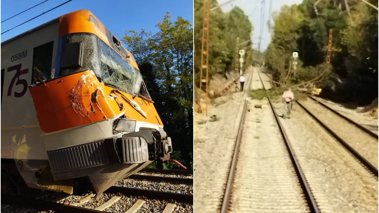 Doce heridos tras chocar un tren contra un árbol en Girona Doce heridos tras chocar un tren contra un árbol en Girona