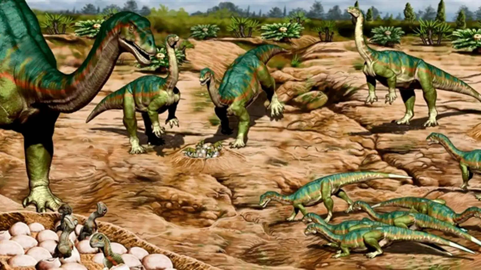 Encuentran un nido con m&aacute;s de 100 huevos de dinosaurios que habr&iacute;an vivido en manada
