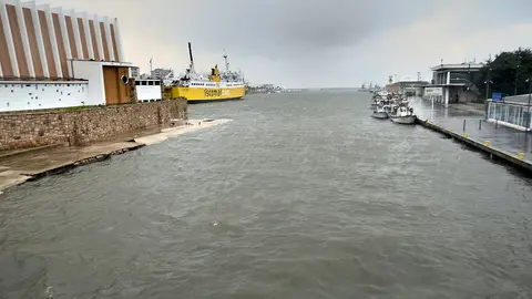 Tres afectados por una fuga de amoniaco en una fábrica de gel del Puerto de Gandía Tres afectados por una fuga de amoniaco en una fábrica de gel del Puerto de Gandía