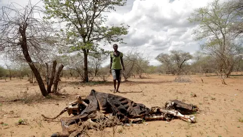 El cambio climático es responsable de millones de muerte por hambre El cambio climático es responsable de millones de muerte por hambre
