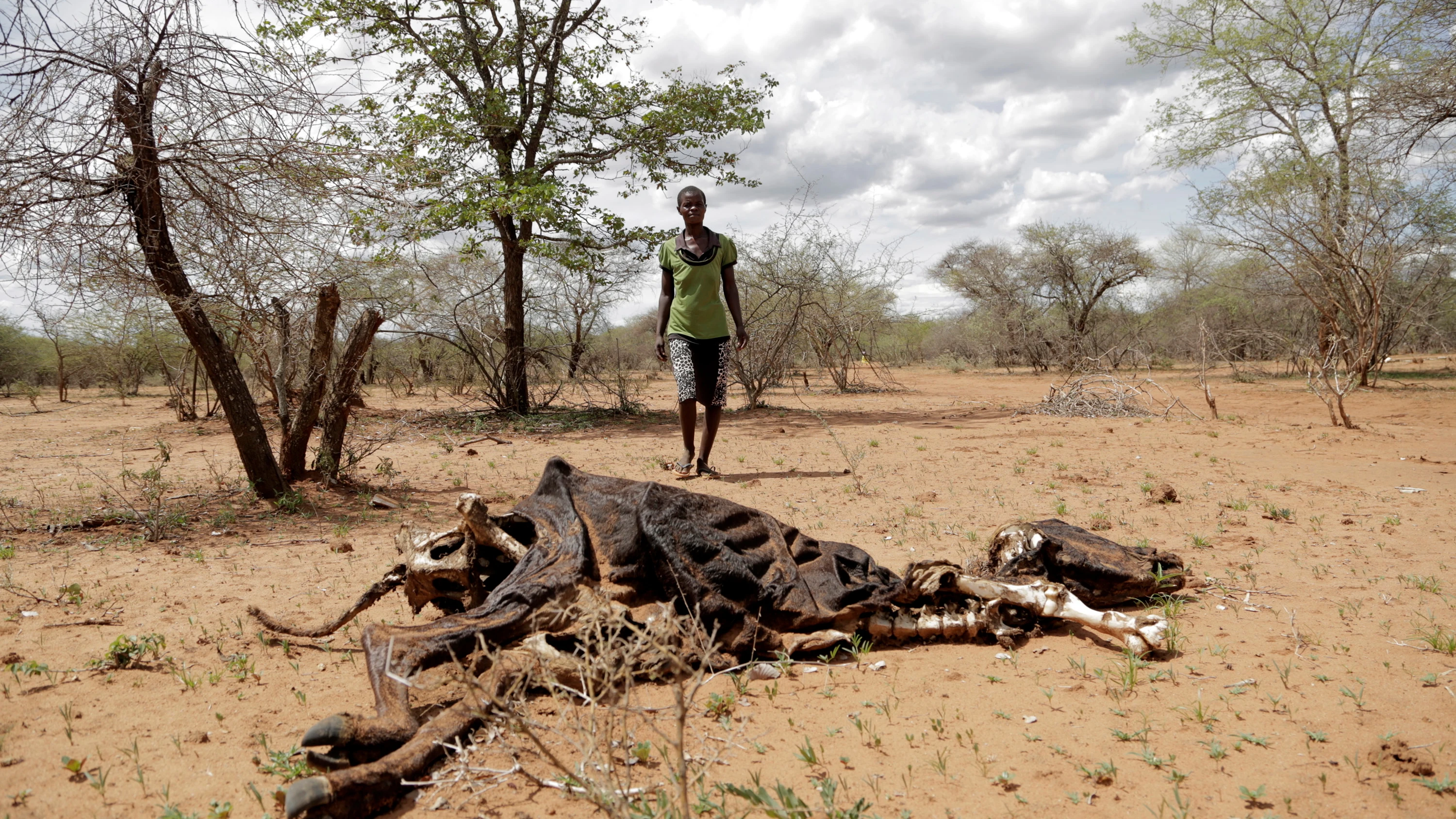 El cambio climático es responsable de millones de muerte por hambre El cambio climático es responsable de millones de muerte por hambre