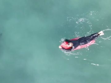 Un fotógrafo capta a varios tiburones blancos nadando entre surfistas en una playa de California