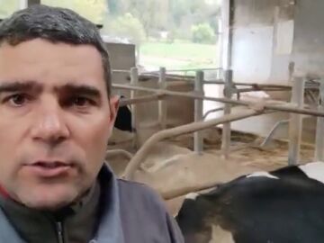 El vídeo viral de un ganadero de Lugo: "Producir leche nos cuesta 40 céntimos y nos lo pagan a 32"