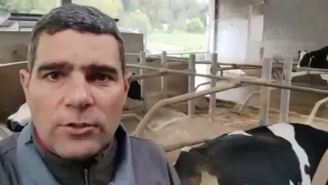 El vídeo viral de un ganadero de Lugo: "Producir leche nos cuesta 40 céntimos y nos lo pagan a 32" El vídeo viral de un ganadero de Lugo: "Producir leche nos cuesta 40 céntimos y nos lo pagan a 32"