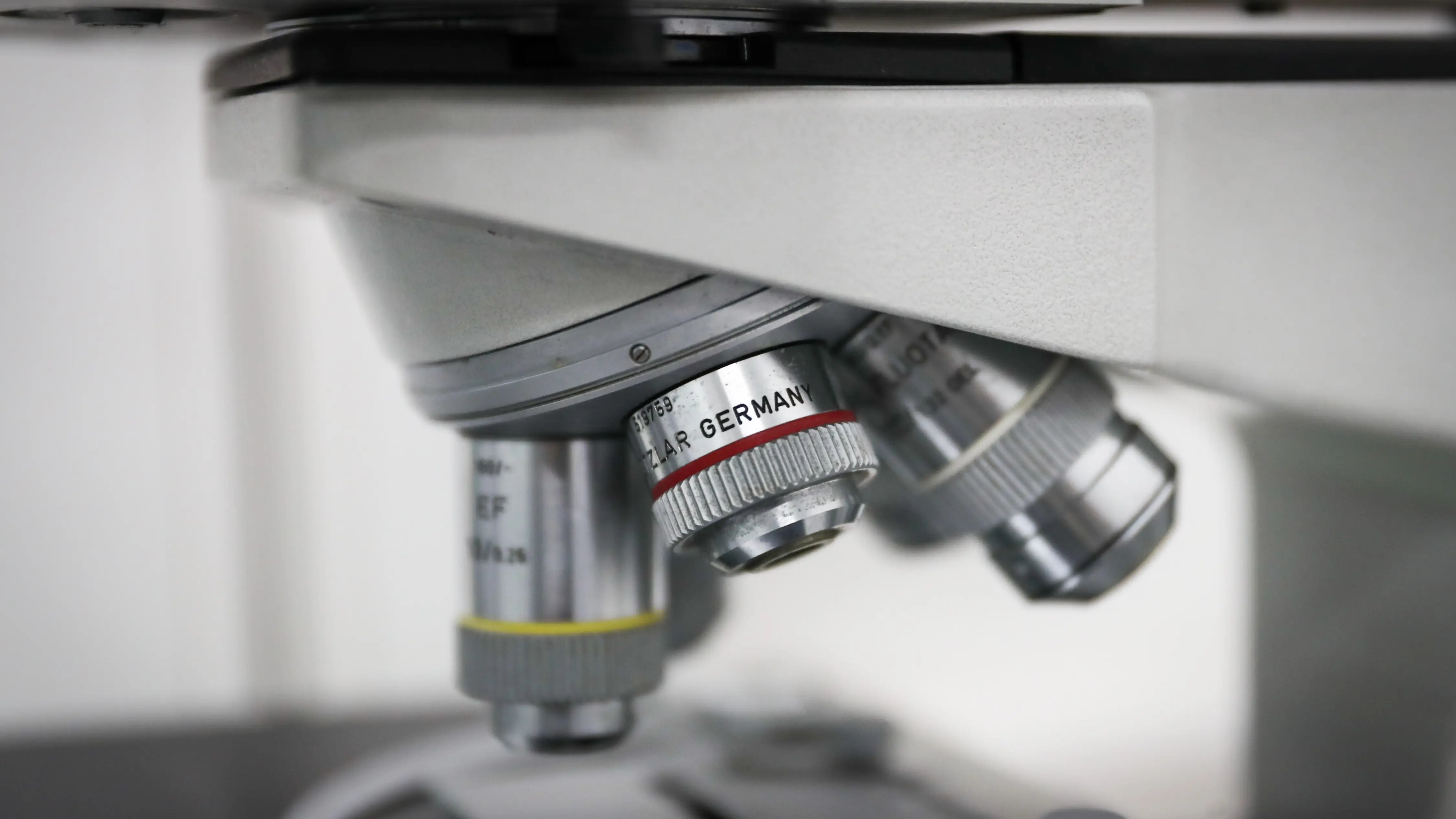 Una terapia experimental logra la remisión completa de un cáncer en 18 pacientes Una terapia experimental logra la remisión completa de un cáncer en 18 pacientes