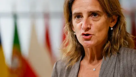 Teresa Ribera Teresa Ribera