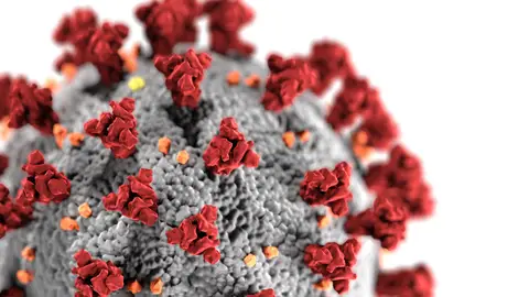 Recreación de un coronavirus Recreación de un coronavirus