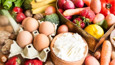 Proteínas vegetales y animales: ¿Cuáles son mejores para la salud?