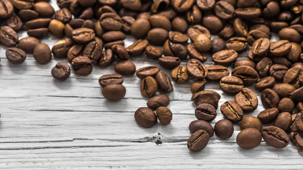 El caf&eacute; podr&iacute;a desaparecer en los pr&oacute;ximos a&ntilde;os