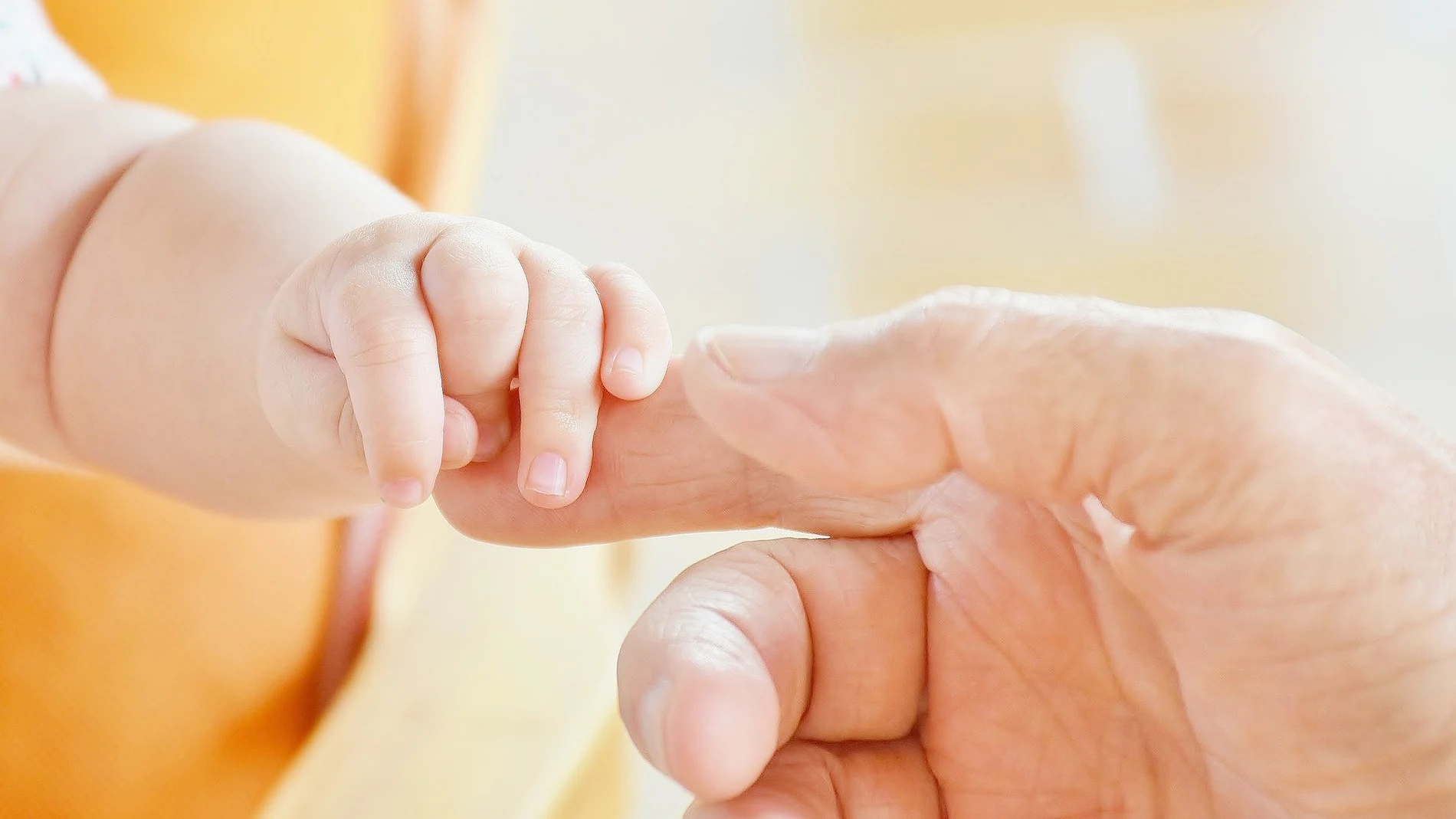 ¿Ser o no ser padres? Esa es la cuestión ¿Ser o no ser padres? Esa es la cuestión