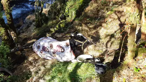 La vaca abrigada La vaca abrigada