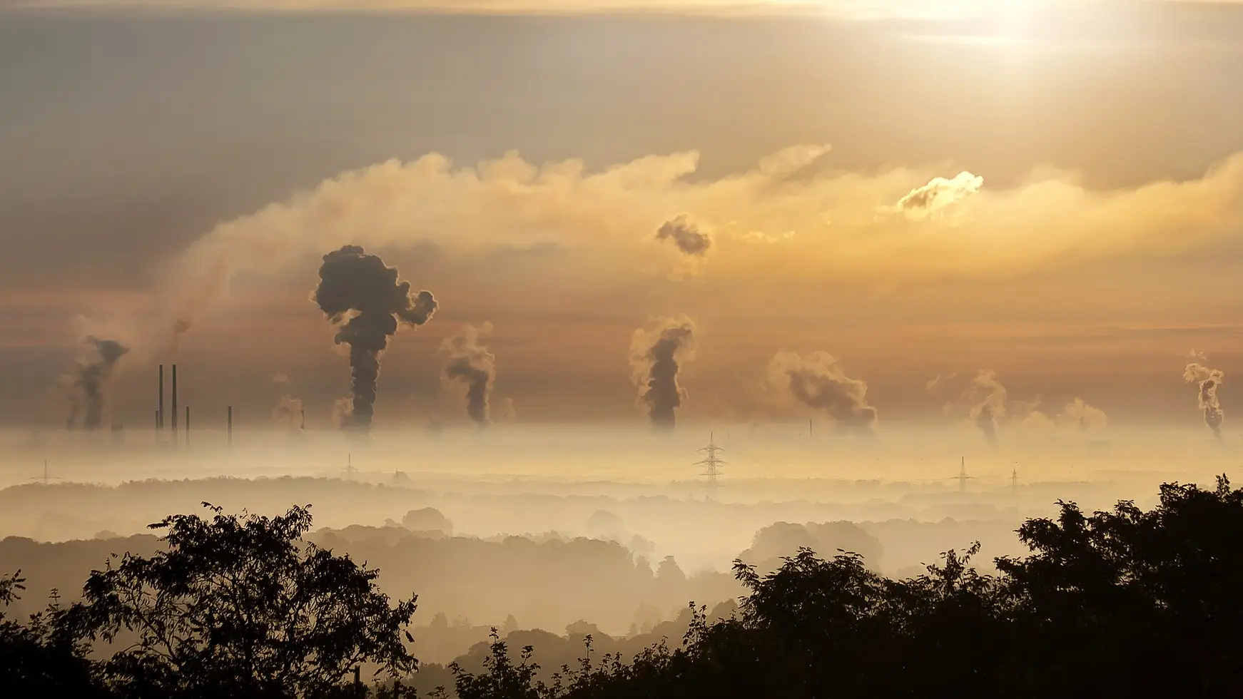 La contaminación en Europa plantea una crisis de salud pública. La contaminación en Europa plantea una crisis de salud pública.