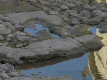 Situación de sequía del río Guadalquivir