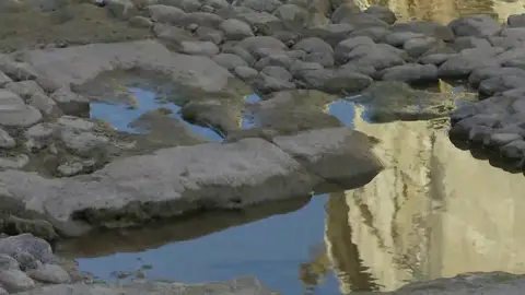 Situación de sequía del río Guadalquivir Situación de sequía del río Guadalquivir
