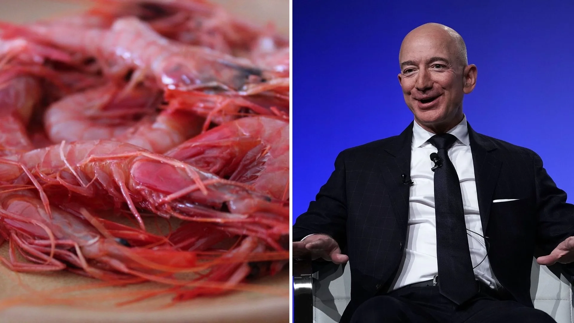 Jeff Bezos cre que la Tierra ser&aacute; un resort de vacaciones donde comeremos gamba roja de Denia