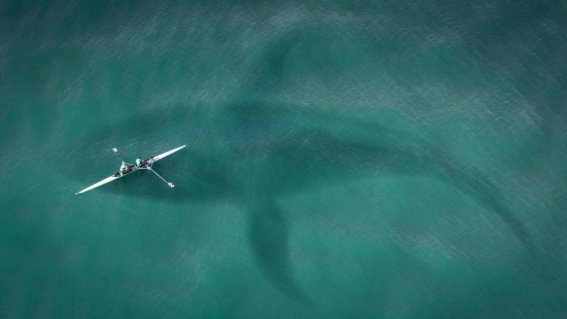 Efemérides de hoy 20 de noviembre de 2021. Una ballena bajo un kakay.