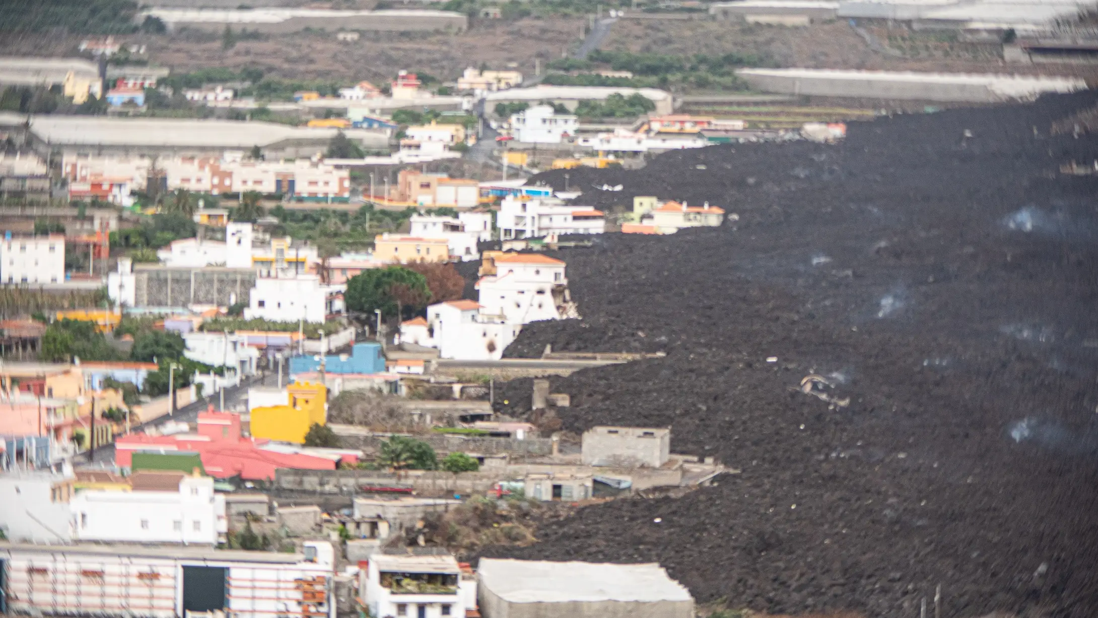 La Palma La Palma