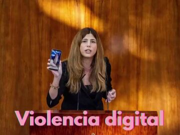 El alegato de una diputada de Más Madrid contra las fotos de pene no deseadas