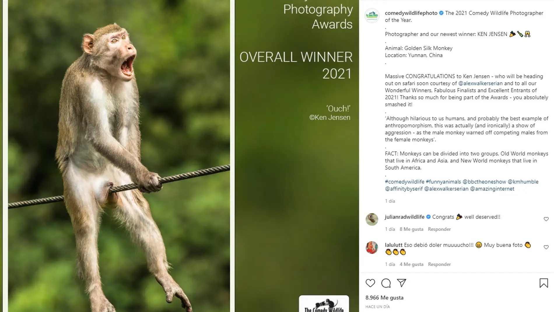 Estas han sido las fotos más divertidas del 2021