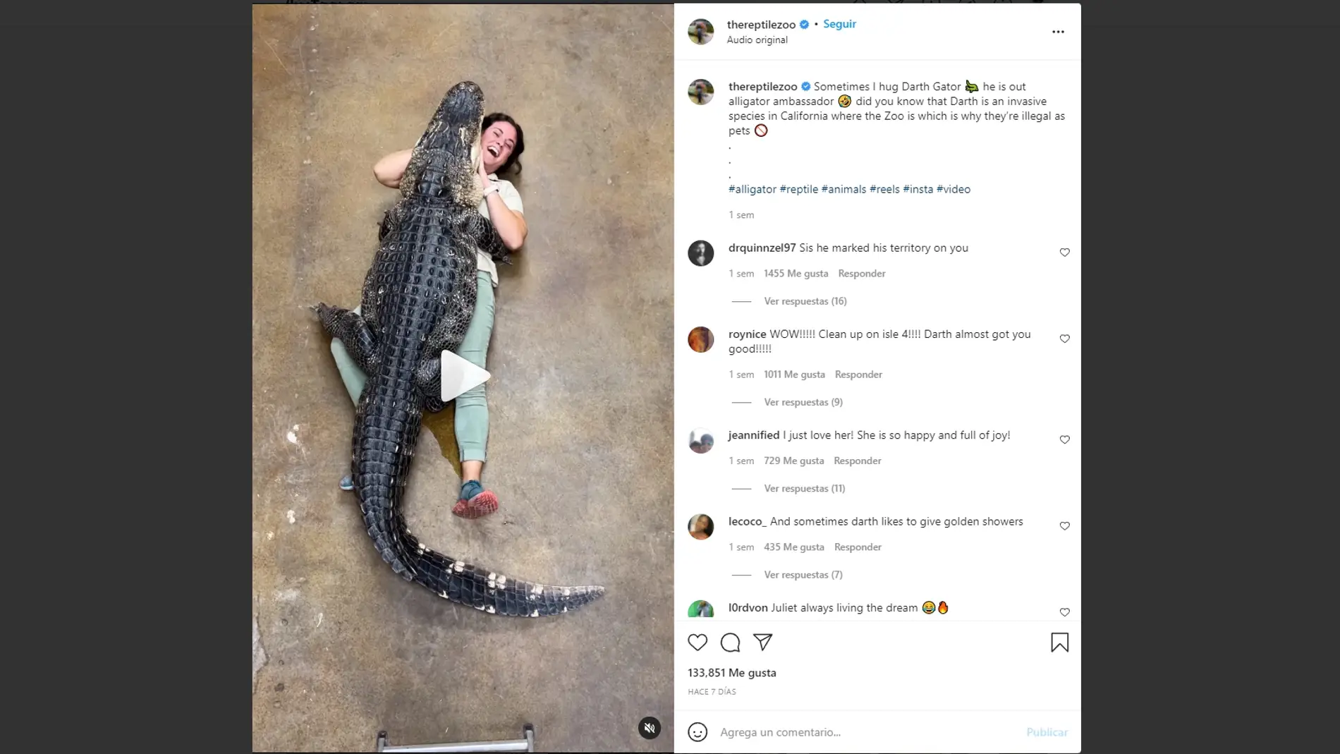 Instagram de @thereptilezoo