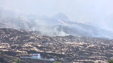 Lluvia La Palma Lluvia La Palma