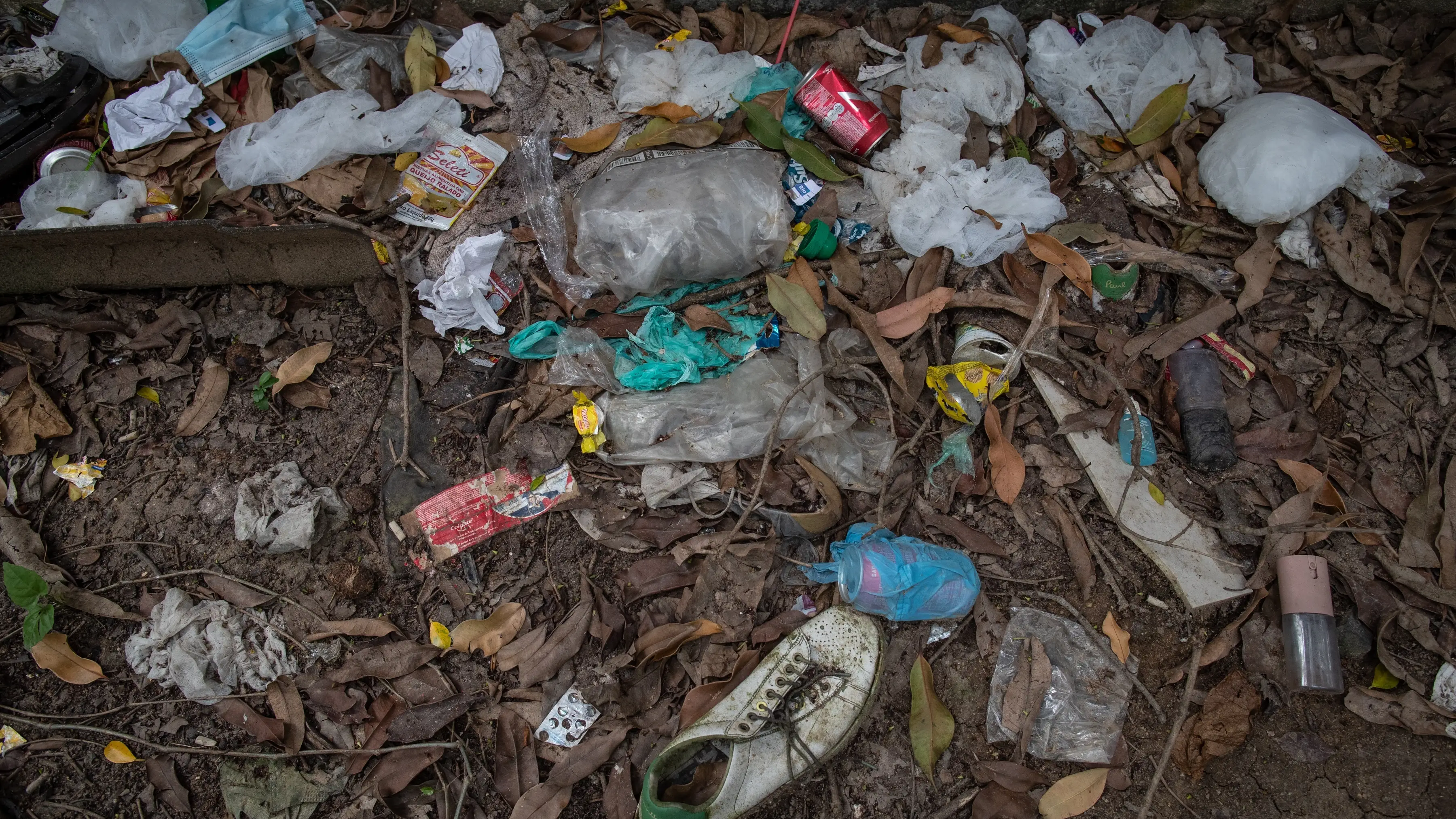 Un vecino con síndrome de Diógenes acumula basura desde hace años en Cercedilla, Madrid. Un vecino con síndrome de Diógenes acumula basura desde hace años en Cercedilla, Madrid.