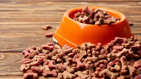 Cuenco con comida para mascota Cuenco con comida para mascota