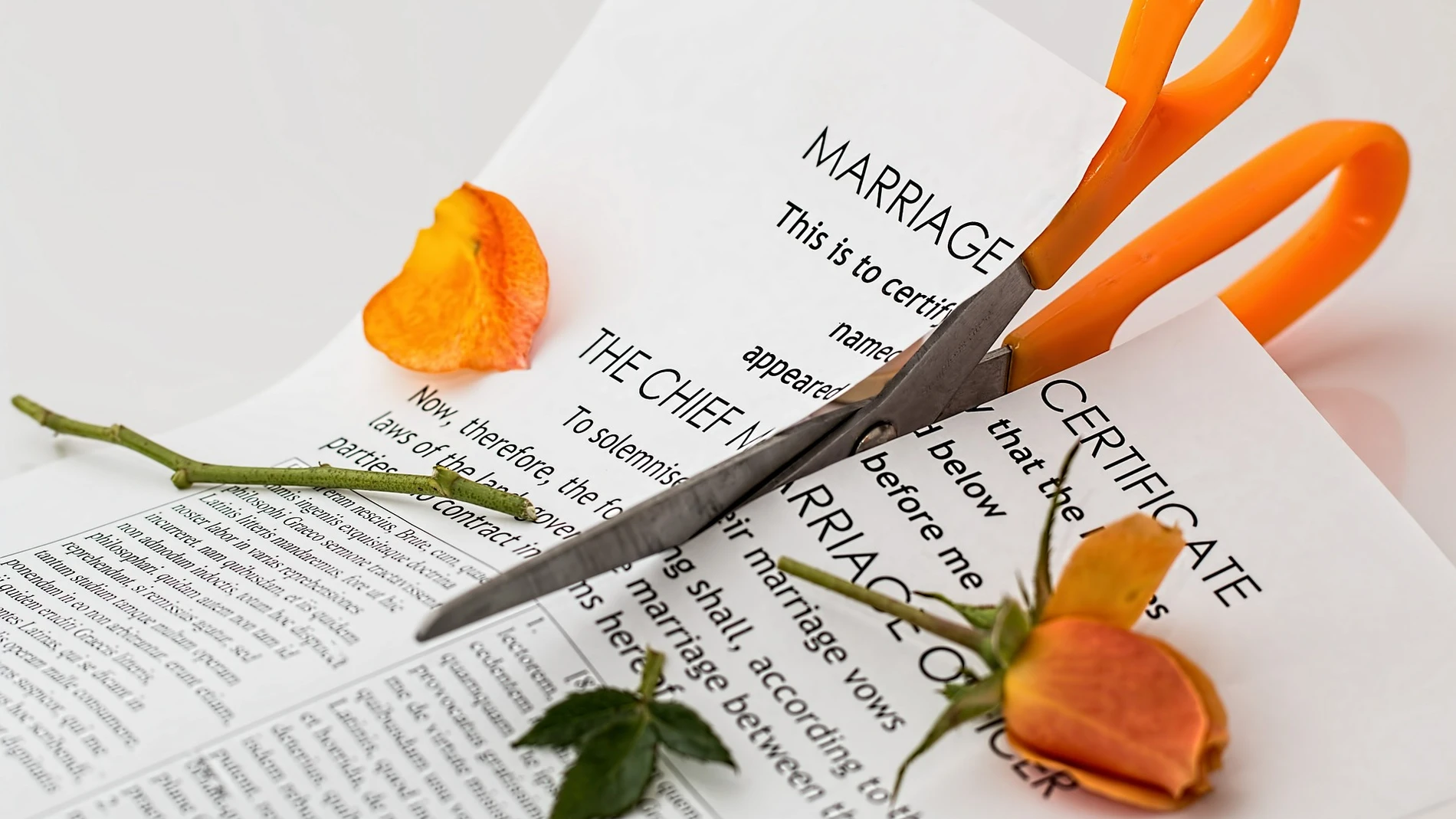 ¿Cómo influyen las familias en las separaciones y los divorcios?