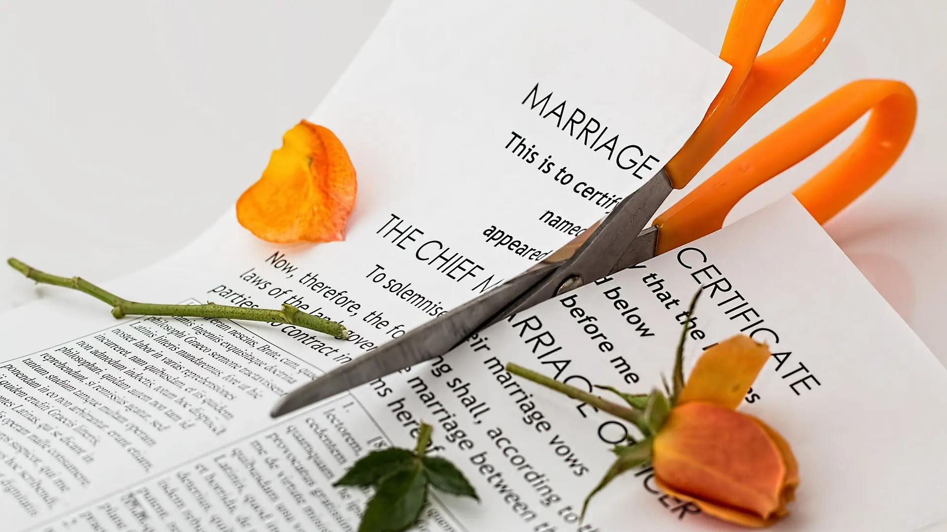 Imagen de un certificado de matrimonio ¿Cómo influyen las familias en las separaciones y los divorcios?