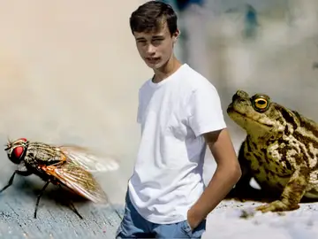 El joven 'meteorólogo' Jorge Rey explica cómo los animales ayudan a predecir el tiempo El joven 'meteorólogo' Jorge Rey explica cómo los animales ayudan a predecir el tiempo