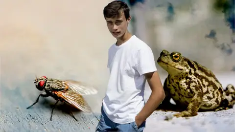 El joven 'meteorólogo' Jorge Rey explica cómo los animales ayudan a predecir el tiempo El joven 'meteorólogo' Jorge Rey explica cómo los animales ayudan a predecir el tiempo