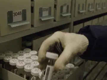 El Arca de Noé de las semillas que lucha contra su extinción El Arca de Noé de las semillas que lucha contra su extinción