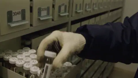 El Arca de Noé de las semillas que lucha contra su extinción El Arca de Noé de las semillas que lucha contra su extinción