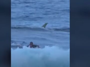 Un tiburón nada detrás de un surfista en una playa de Puerto Rico