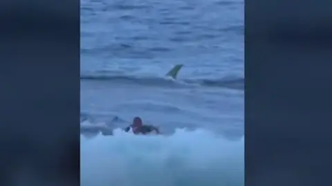 Un tiburón nada detrás de un surfista en una playa de Puerto Rico Un tiburón nada detrás de un surfista en una playa de Puerto Rico