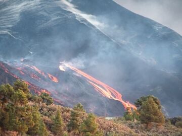 La erupción de La Palma se habría estado gestando durante 4 años, según una reciente investigación 