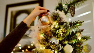 ¿Cuándo poner el árbol de navidad? Cuándo poner el árbol de navidad