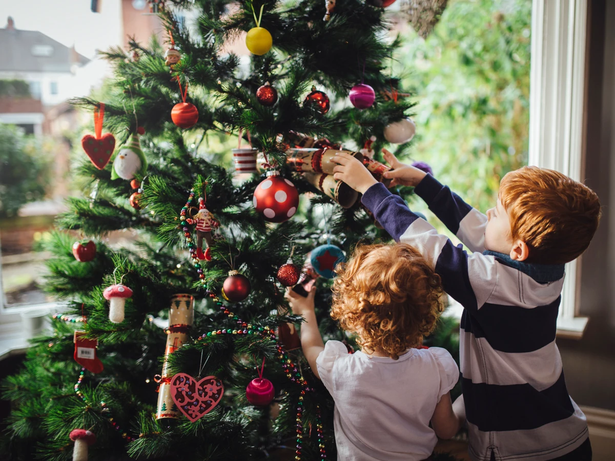 Sabes de dónde viene el árbol de navidad? Este es su verdadero origen Sabes de dónde viene el árbol de navidad? Este es su verdadero origen