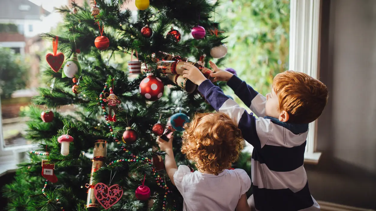 &iquest;Sabes de d&oacute;nde viene el &aacute;rbol de navidad? Este es su verdadero origen