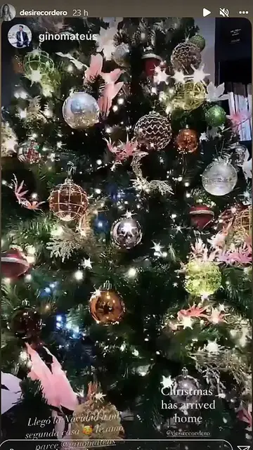 El árbol de navidad de Desiré Cordero El árbol de navidad de Desiré Cordero