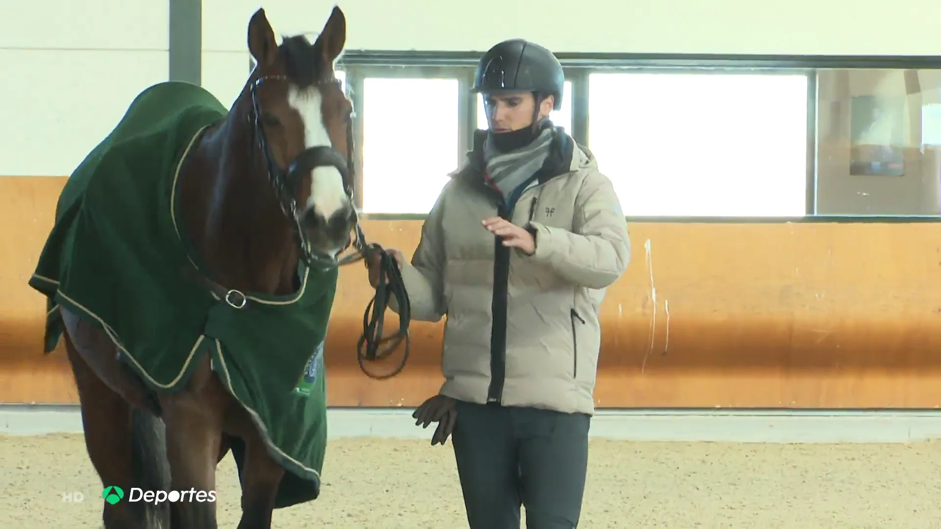caballos