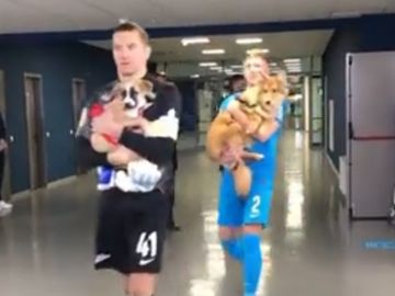 Los jugadores del Zenit saltan al campo con perros para apoyar la adopción de caninos