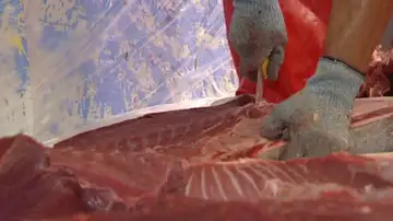 ¿Cómo se puede identificar el atún rojo para no caer en estafas? Así es el fraude que afecta a este pescado ¿Cómo se puede identificar el atún rojo para no caer en estafas? Así es el fraude que afecta a este pescado